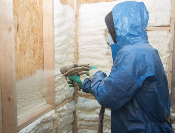 Best Eco-Friendly or Green Insulation Solutions  in Ettrick, VA